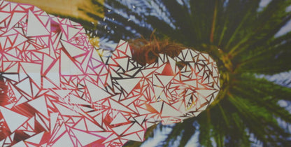 tUnE-yArDs – W H O K I L L Music CD