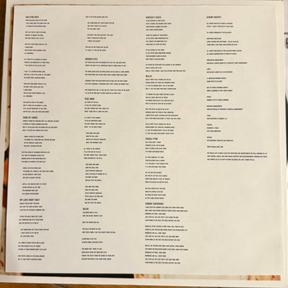 Two Gallants – The Bloom and The Blight (LP Vinyl) Vinyl Record