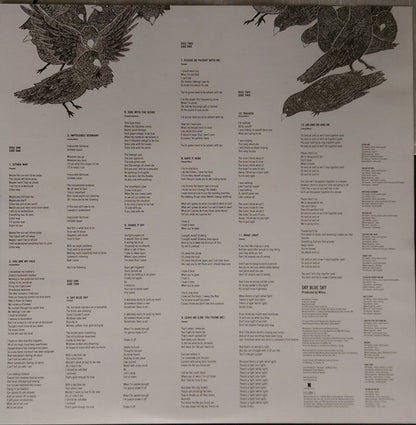 Wilco – Sky Blue Sky (2-LP Vinyl and Bonus DVD) Vinyl Record