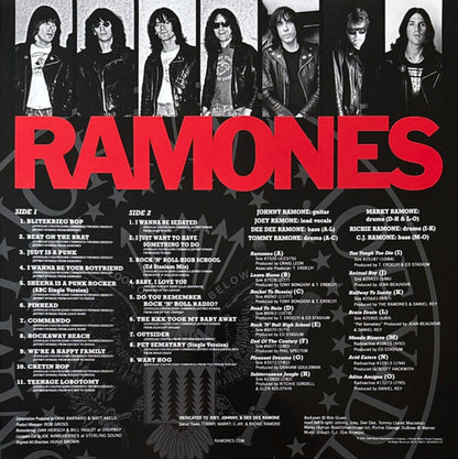 Ramones – Greatest Hits (LP Vinyl) Vinyl Record