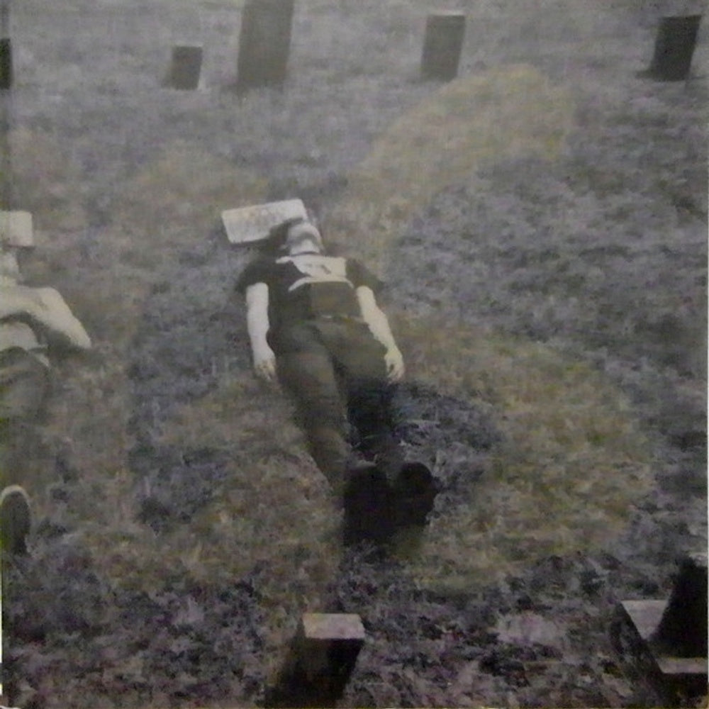 The Whigs – In The Dark (LP Vinyl) Vinyl Record