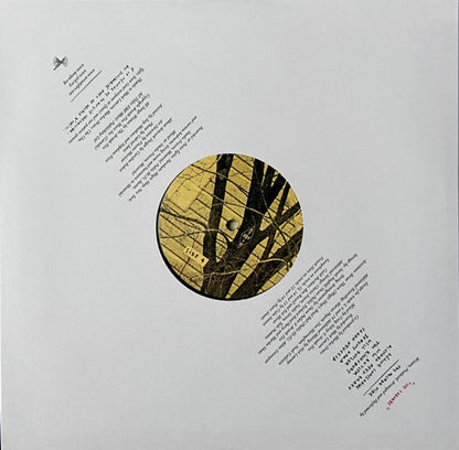 Arcade Fire – The Suburbs (2-LP Vinyl) Vinyl Record