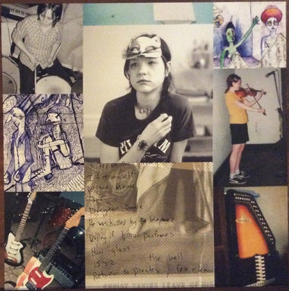 Mary Timony – Mountains (2-LP Vinyl) Vinyl Record