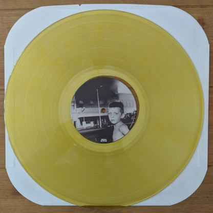 Adam's House Cat – Town Burned Down (LP Vinyl) Vinyl Record