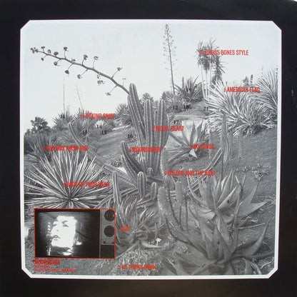 Cat Power – Moon Pix (LP Vinyl) Vinyl Record