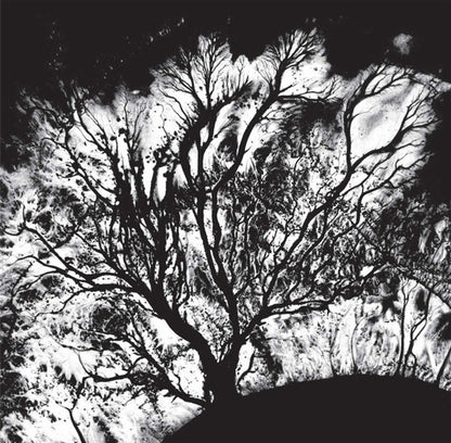 Dead Can Dance – The Serpent's Egg (LP Vinyl) Vinyl Record