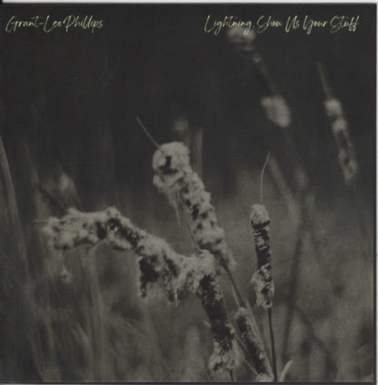 Grant-Lee Phillips – Lightning Show Us Your Stuff Music CD