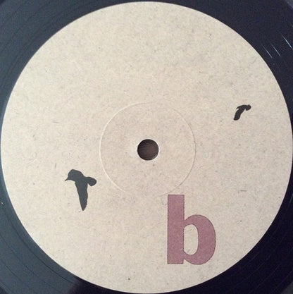 Hop Along – Painted Shut (LP Vinyl) Vinyl Record