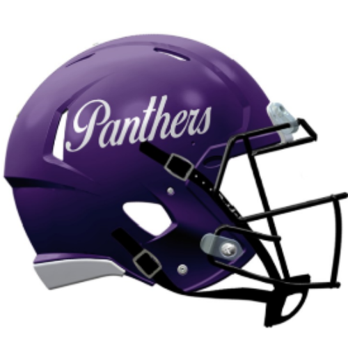 Northern Iowa Panthers Mini Speed Football Helmet Inscript Panthers NCAA