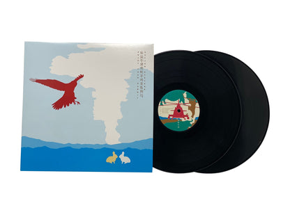 Sufjan Stevens - Enjoy Your Rabbit Vinyl Record