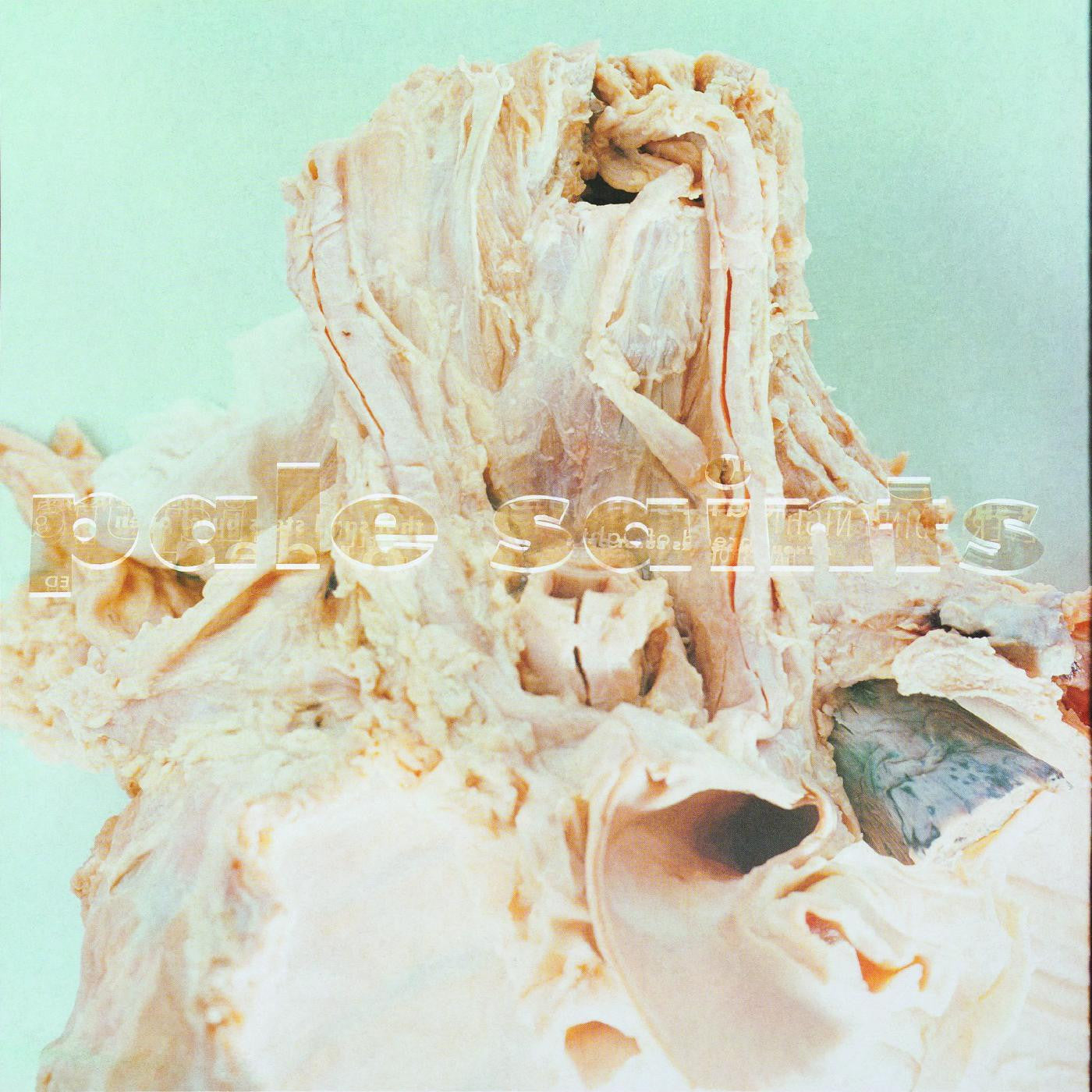 In Ribbons [2LP Deluxe] Vinyl Record