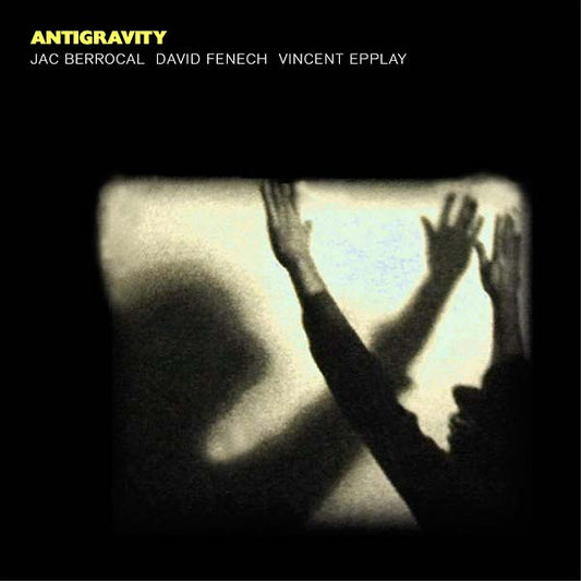 Antigravity Vinyl Record