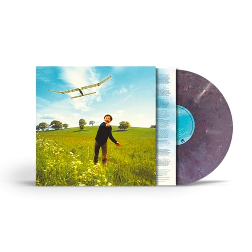 James Blunt - Who We Used To Be Vinyl Record