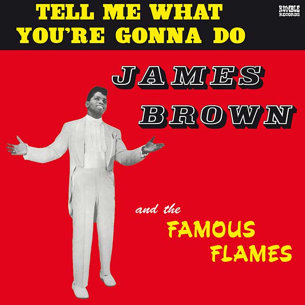 James Brown  Tell Me What You're Gonna Do Vinyl Record