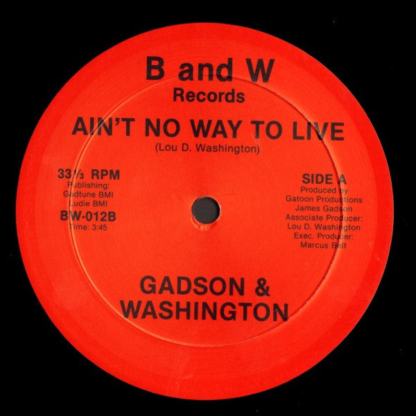 Ain't No Way To Live / Indian Village  Generic Vinyl Record