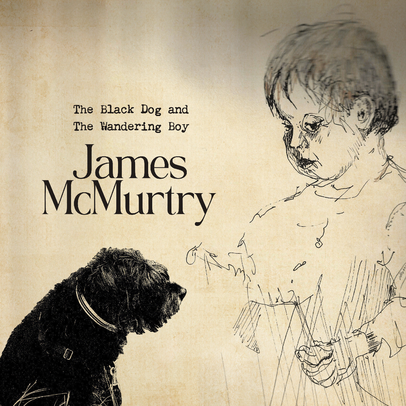 The Black Dog And The Wandering Boy Vinyl Record