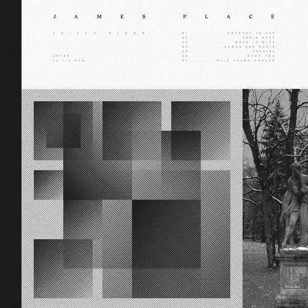 JAMES PLACE - Voices Bloom Vinyl Record