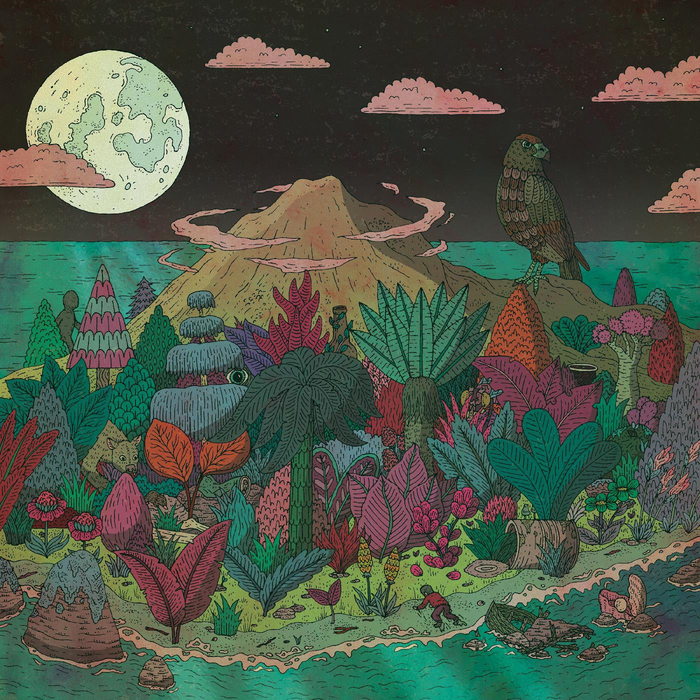 James & The Giants [Vinyl] Vinyl Record