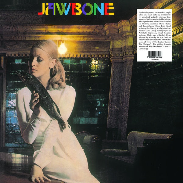 JAWBONE - Jawbone Vinyl Record
