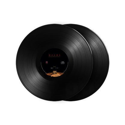  Vinyl Record