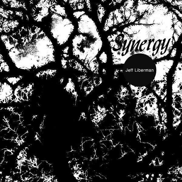Synergy [Vinyl] Vinyl Record