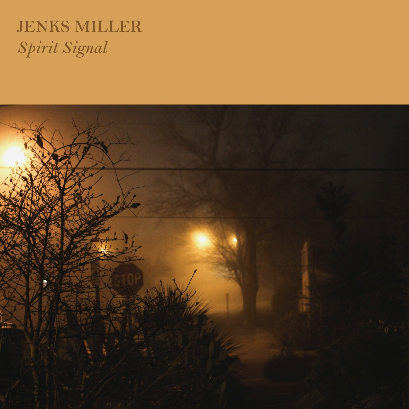 Spirit Signal [Vinyl] Vinyl Record