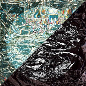 Deleted/Fool - 12" Vinyl Record