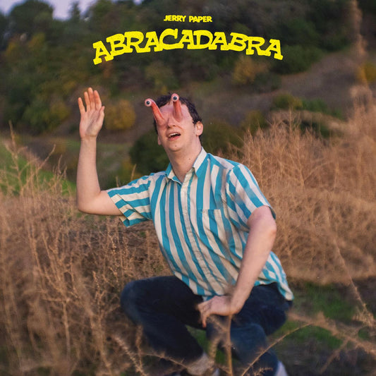 Abracadabra Vinyl Record