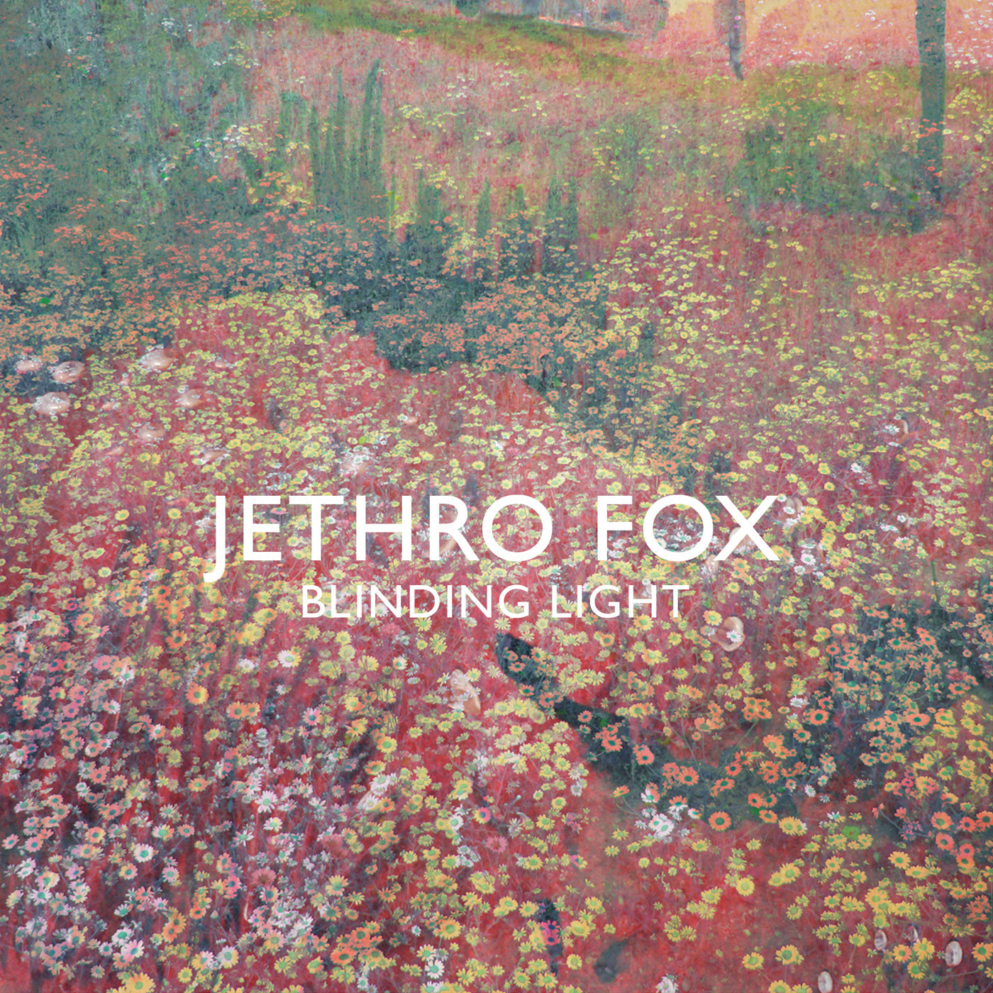 Jethro Fox - Blinding Light Vinyl Record