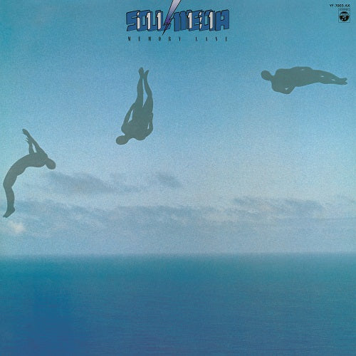 Memory Lane Vinyl Record