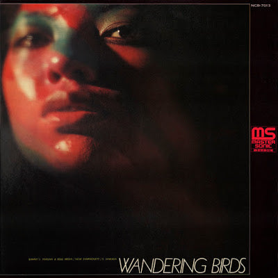 Wandering Birds Vinyl Record