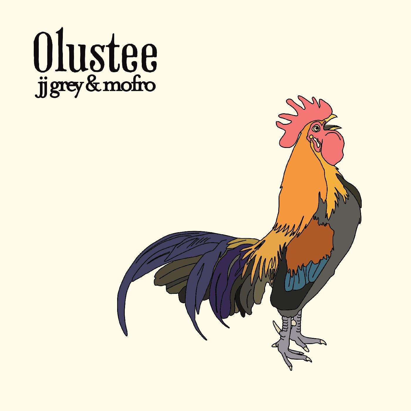 Olustee Vinyl Record