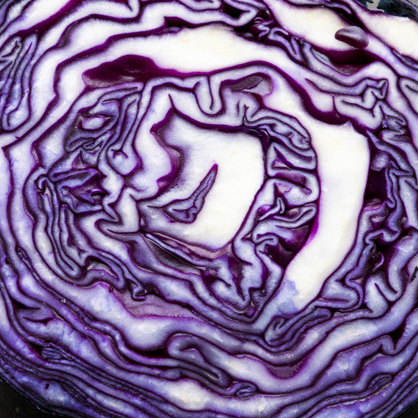 Greatest Hits 1.0 Vinyl Record