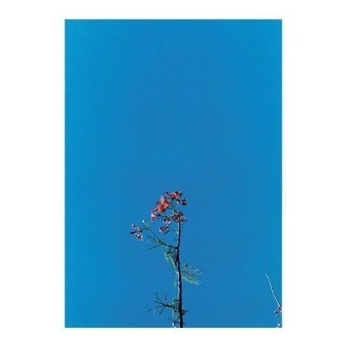 Joanna Newsom & The Ys Street Band E.P. Vinyl Record