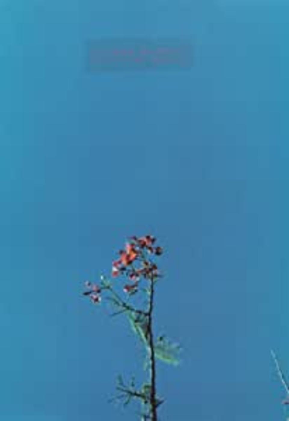 & THE YS STREET BAND EP Vinyl Record