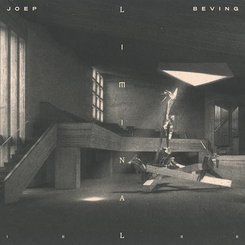 Liminal [Ecorecord 2LP] [Vinyl] Vinyl Record