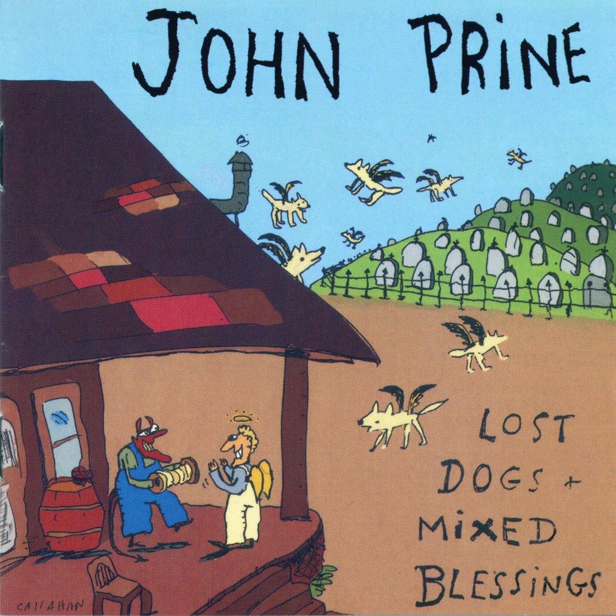 Lost Dogs + Mixed Blessings (Black 2LP) Vinyl Record