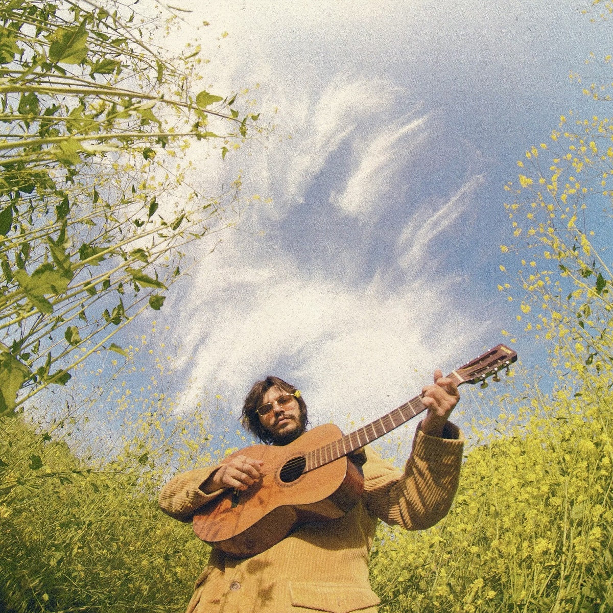 Songs For The Canyon [LP] [Vinyl] Vinyl Record