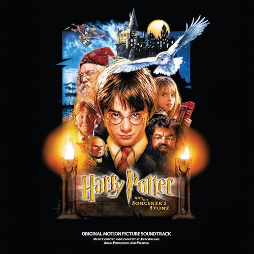 Harry Potter And The Sorcerer'S Stone  Vinyl Record
