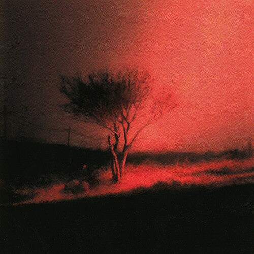 Piss In The Wind [Explicit Content] Vinyl Record