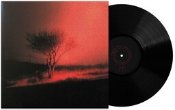 Piss In The Wind [Explicit Content] Vinyl Record