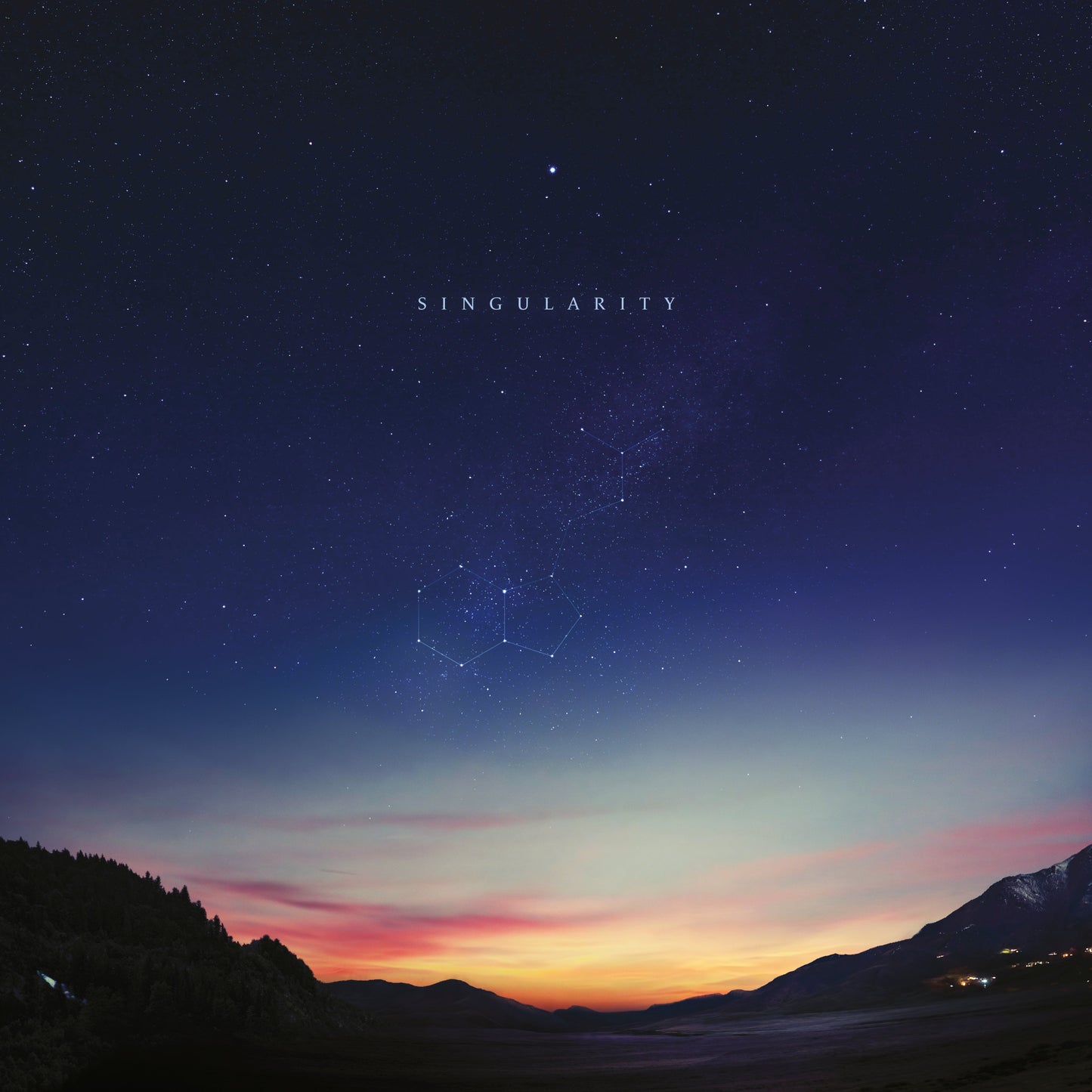 Singularity Vinyl Record
