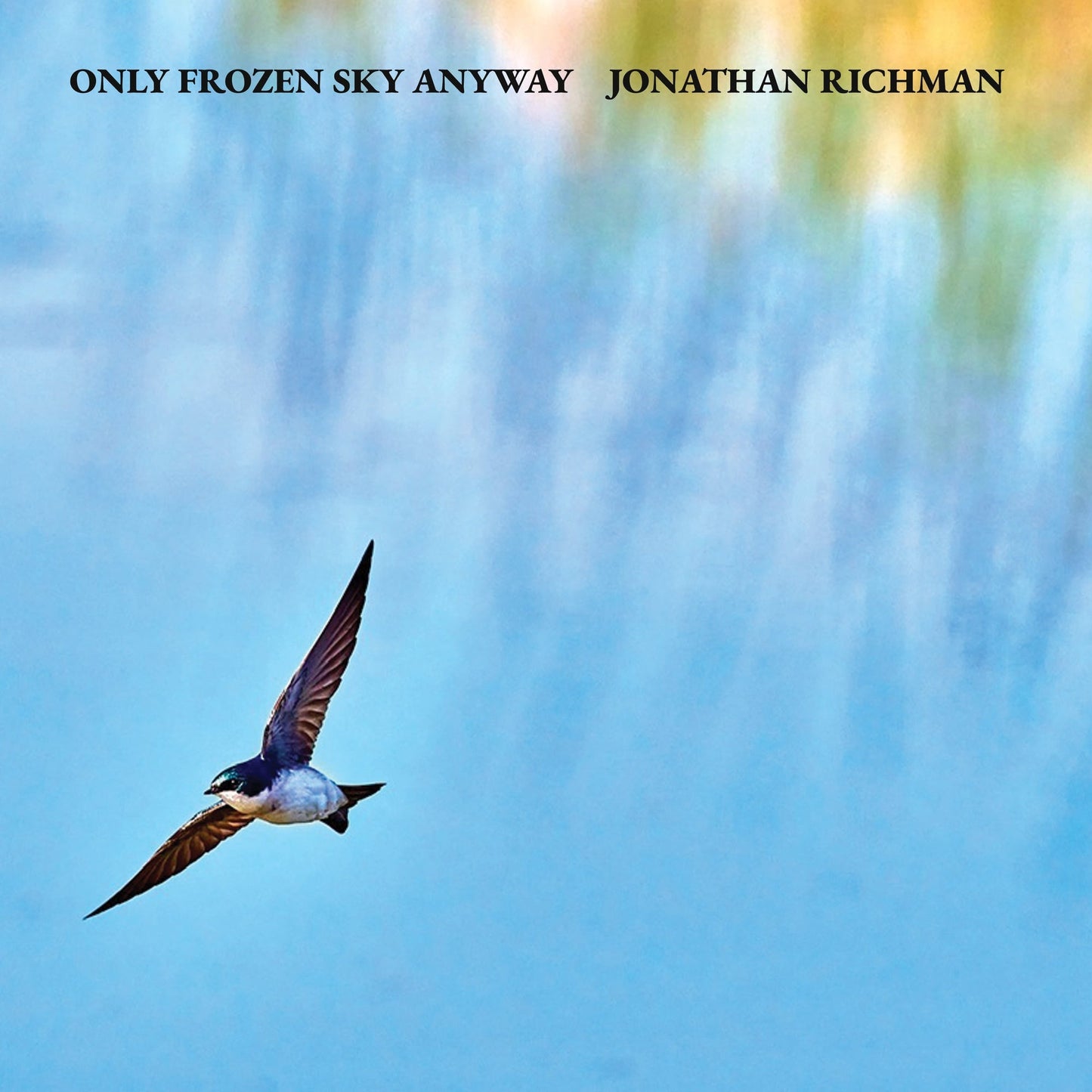 Only Frozen Sky Anyway LP [Vinyl] Vinyl Record