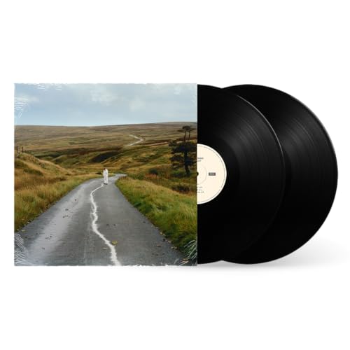 The Loop [2 LP] Vinyl Record