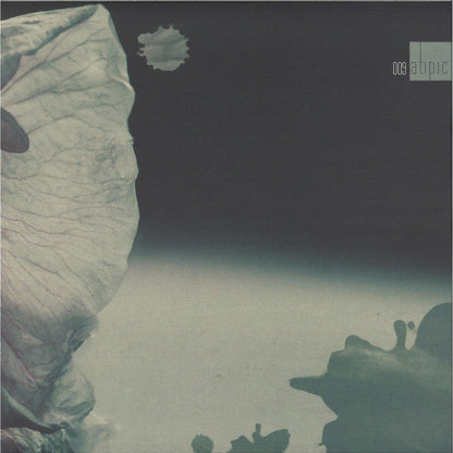 ATIPIC009 Vinyl Record