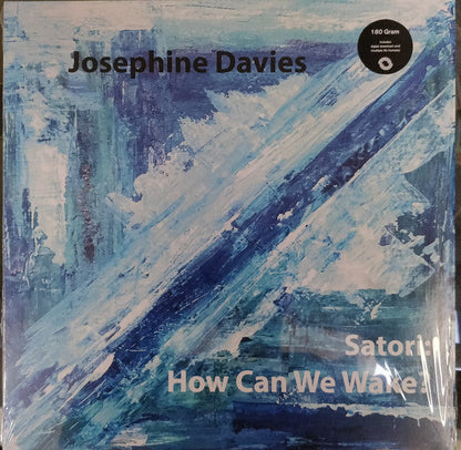 Satori: How Can We Wake? Vinyl Record