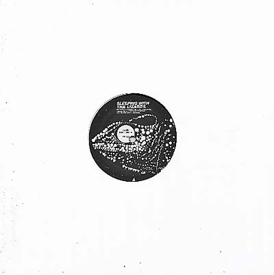 JUHO KAHILAINEN - Sleeping With The Lizards Vinyl Record