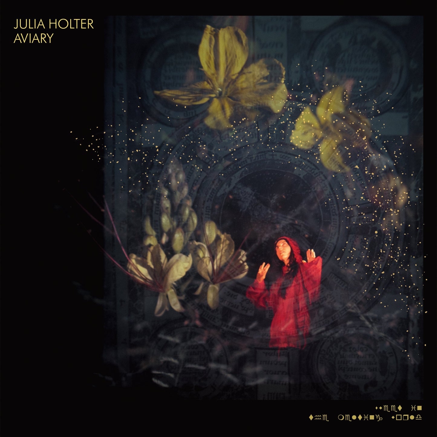Julia Holter - Aviary Vinyl Record