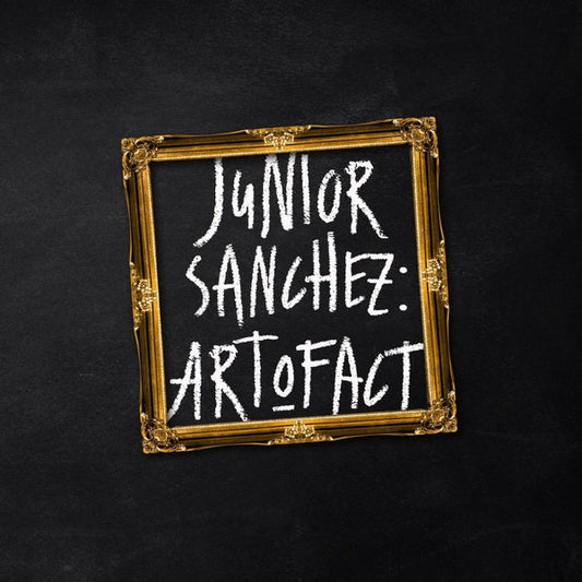 Art O Fact Vinyl Record