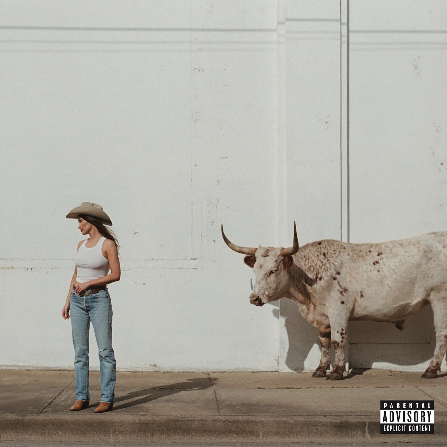 Middle Of Nowhere [Rodeo Clown Edition Vinyl] [Vinyl] Vinyl Record